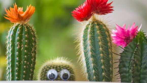 iStock 450725179 min