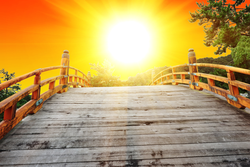 Japan,Is,A,Land,Of,A,Rising,Sun.,Watching,The