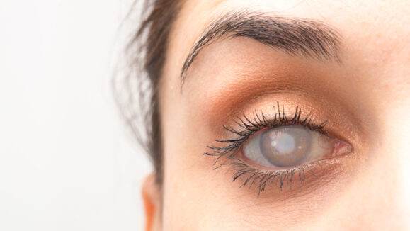 shutterstock_524943673_800