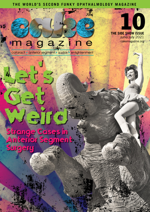 CAKE 10_V6_Cover_300