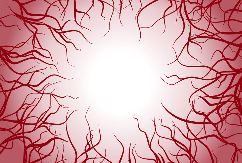 shutterstock_1826189486 [Converted] 01_800