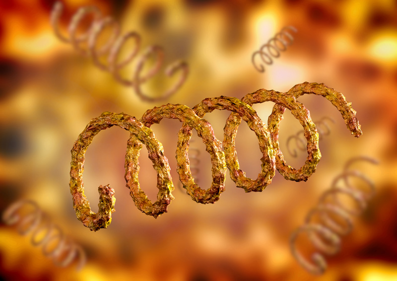 shutterstock_1550225945_800