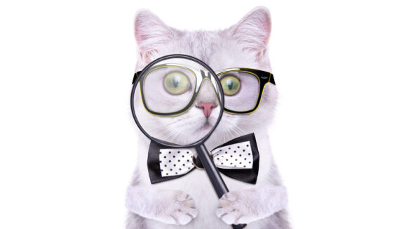 Smart,Handsome,Cat,With,A,Magnifying,Glass.,Funny,Animals.,Trendy
