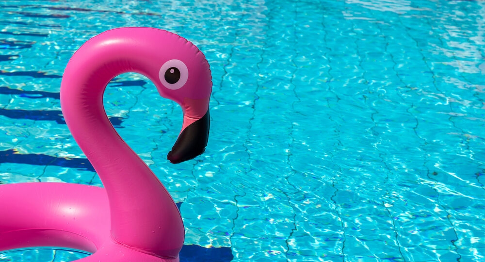Hello,Summer.,Pink,Inflatable,Flamingo,In,Pool,Water,For,Summer