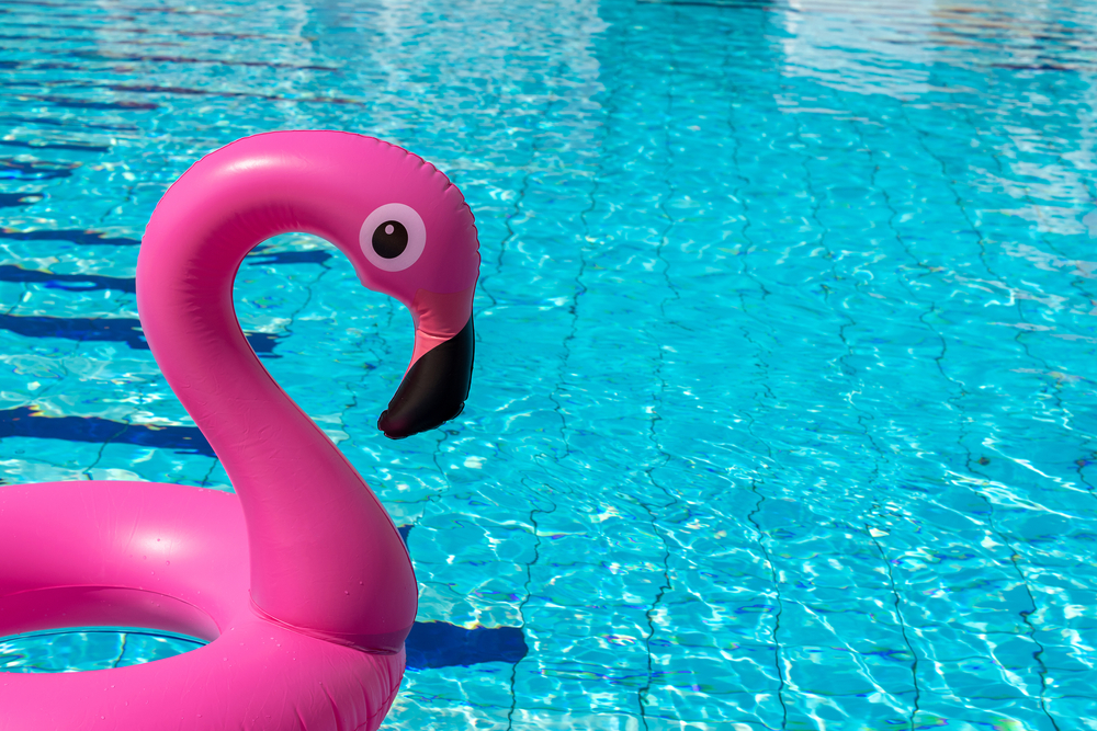 Hello,Summer.,Pink,Inflatable,Flamingo,In,Pool,Water,For,Summer