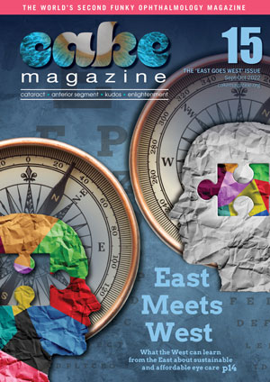 CAKE 15_V4_COVER_300