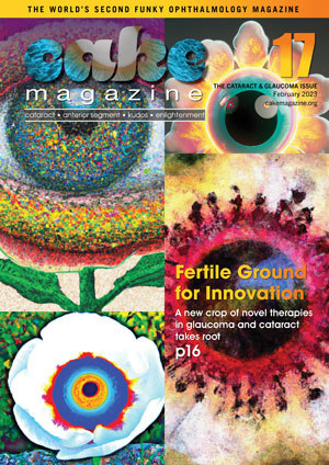 CAKE 17_V2_COVER_300