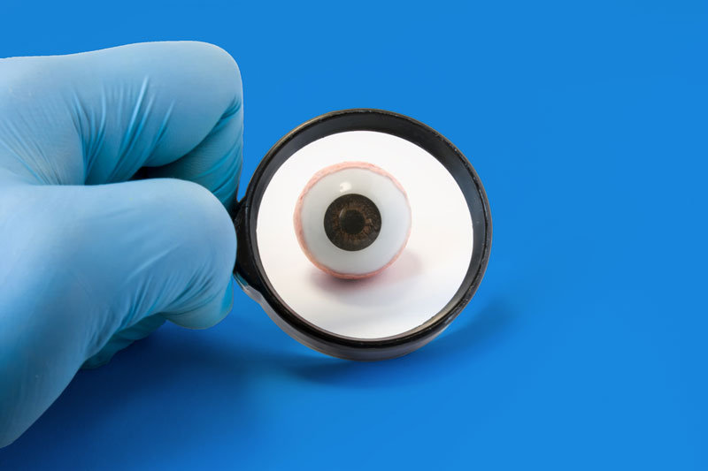 shutterstock_728231533_V2_800