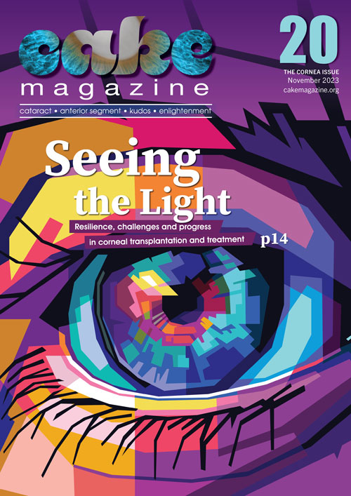 CAKE 20_V3_COVER_500