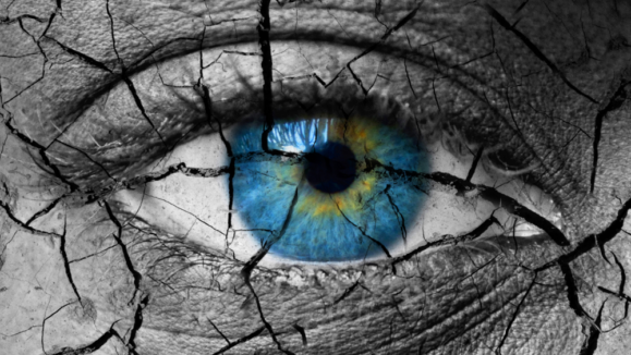 shutterstock_378263749