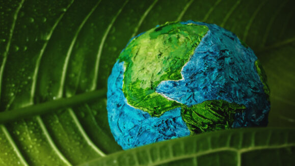 shutterstock_1941316165