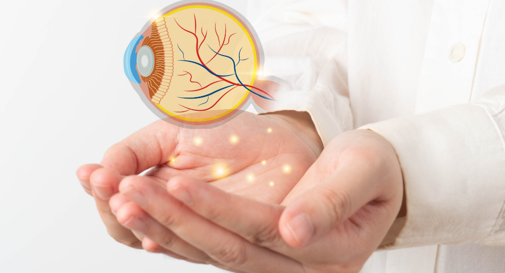 shutterstock_2517680915