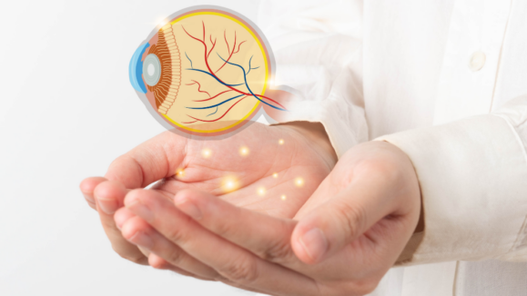 shutterstock_2517680915